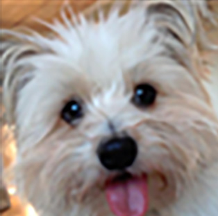 Fletcher